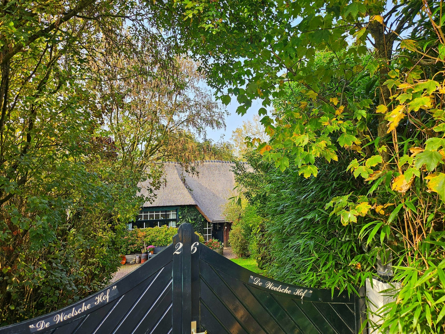 Weelsedijk 26, Strijen