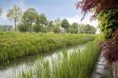 Appelgaard 50, Heerjansdam
