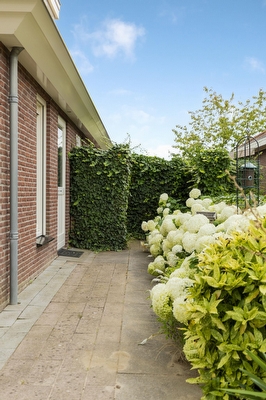 Barbarakruid 8, Puttershoek