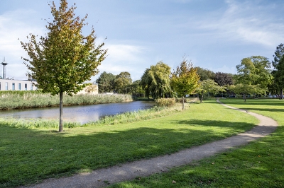 Boksdoornstraat 21, Ridderkerk