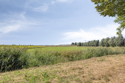 Koekoeksbloem 24, Heerjansdam