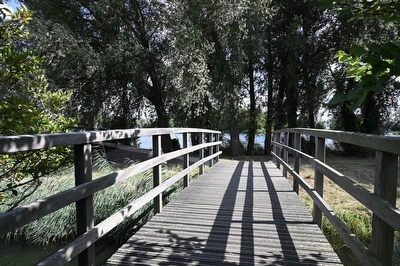 Noldijk 129, Barendrecht