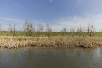 Rijksstraatweg 242, Ridderkerk