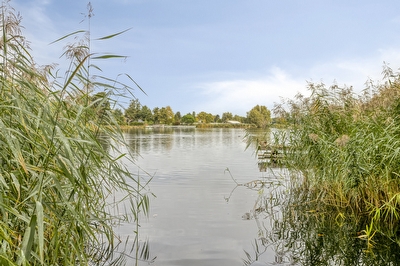 Rozenlaan 9, Heerjansdam