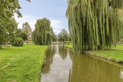Willem van Oranjelaan 31, Zwijndrecht