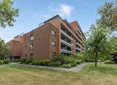Zanglijsterstraat 171, Rotterdam